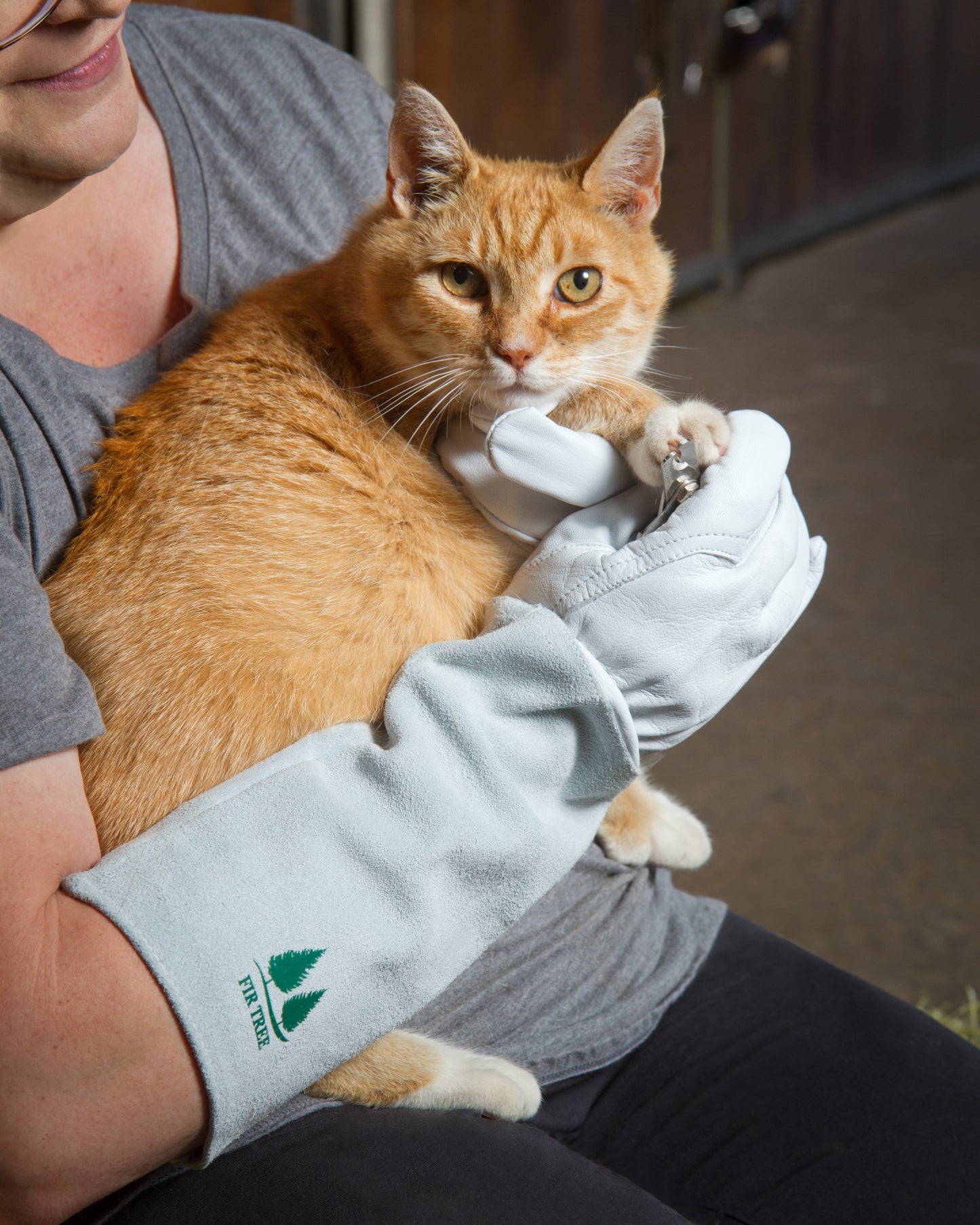 Pet Grooming Glove