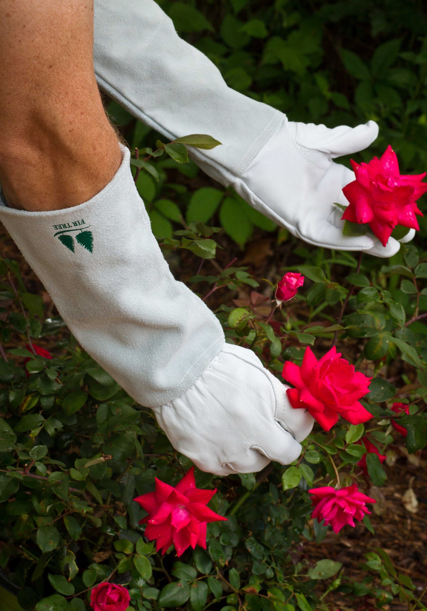 Goatskin Gauntlet Gardening Gloves - Leather Rose & Thorn Protection with Elbow Length Coverage - Fir Tree Gloves
