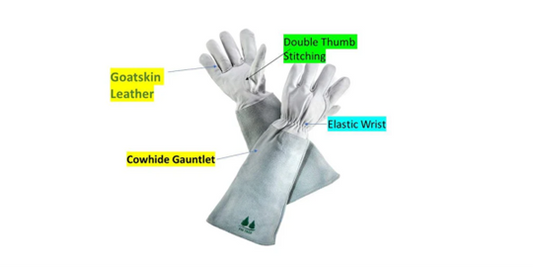 Can Cactus Handling Gloves Really Prevent Thistle and Spine Injuries?