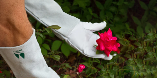 Garden gloves thorn resistant