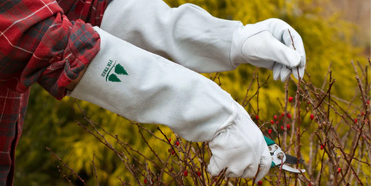 garden gloves leather