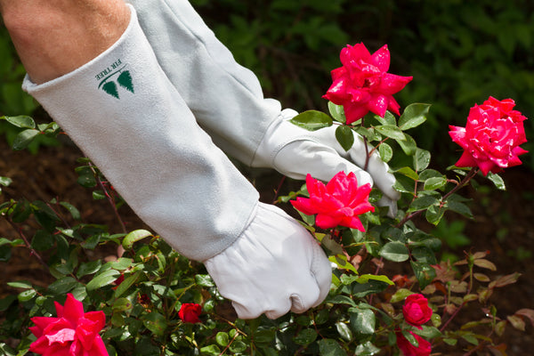 Goatskin Gardening Gloves Leather